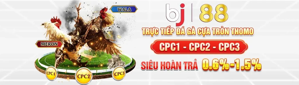 Trực tiếp đá gà